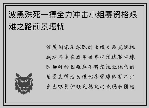 波黑殊死一搏全力冲击小组赛资格艰难之路前景堪忧