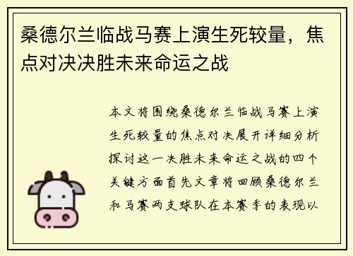 桑德尔兰临战马赛上演生死较量,焦点对决决胜未来命运之战