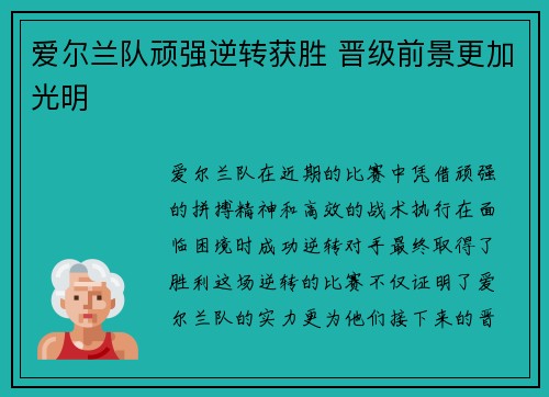 爱尔兰队顽强逆转获胜 晋级前景更加光明
