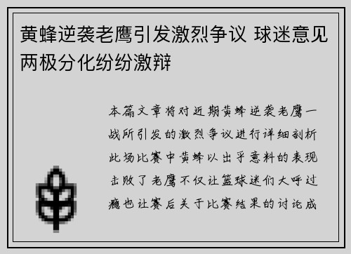 黄蜂逆袭老鹰引发激烈争议 球迷意见两极分化纷纷激辩